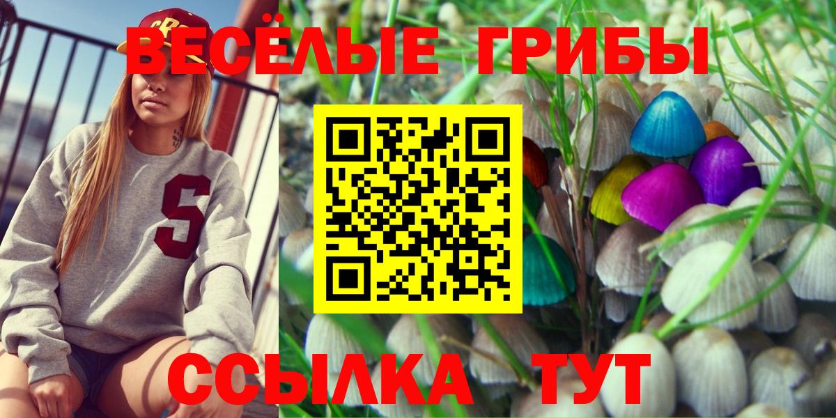 Меф МЯУ МЯУ кристаллы  Вход с VPN  Конопля  Бугуруслан  КОКАИН  ГАШ  Наркошоп  ТГК  Альфа ПВП СОЛЬ   ГАШ  Экстази 