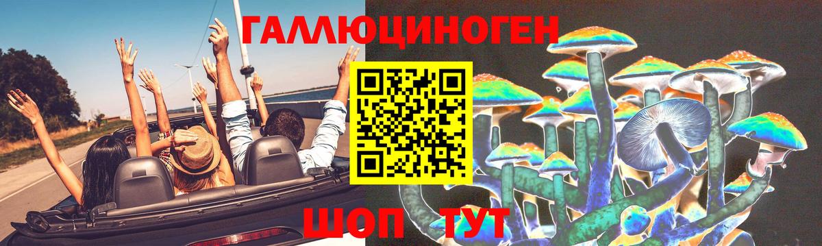 Псилоцибиновые грибы Cubensis Бугуруслан