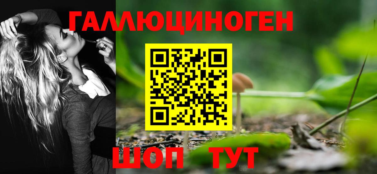 Галлюциногенные грибы Cubensis  Вход с VPN  Бугуруслан 